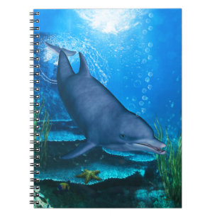 Carnet Le sourire des océans