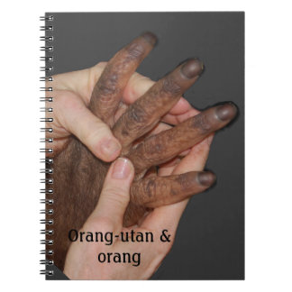 Carnet Le Special remet l'orang-outan