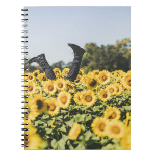 Carnet Le terrain de tournesol en journée