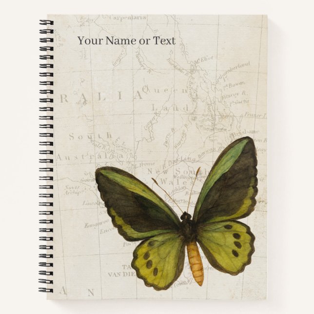 Carnet Le Titan de la Forêt Tropicale – Papillon de Cairn (Devant)