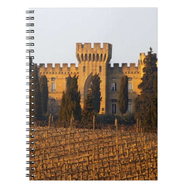 Carnet Le vignoble avec des vignes de syrah et le château (Devant)