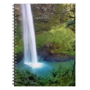 Carnet Le voile nuptiale tombe NZ