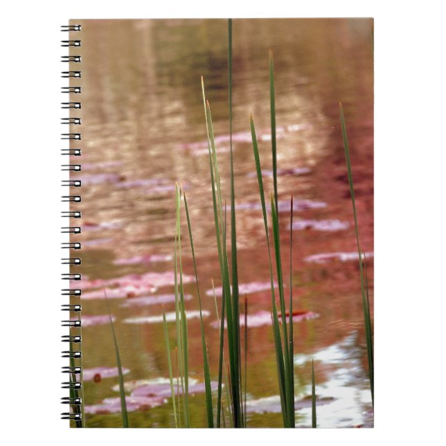 Carnet L'eau à travers les roseaux (Devant)