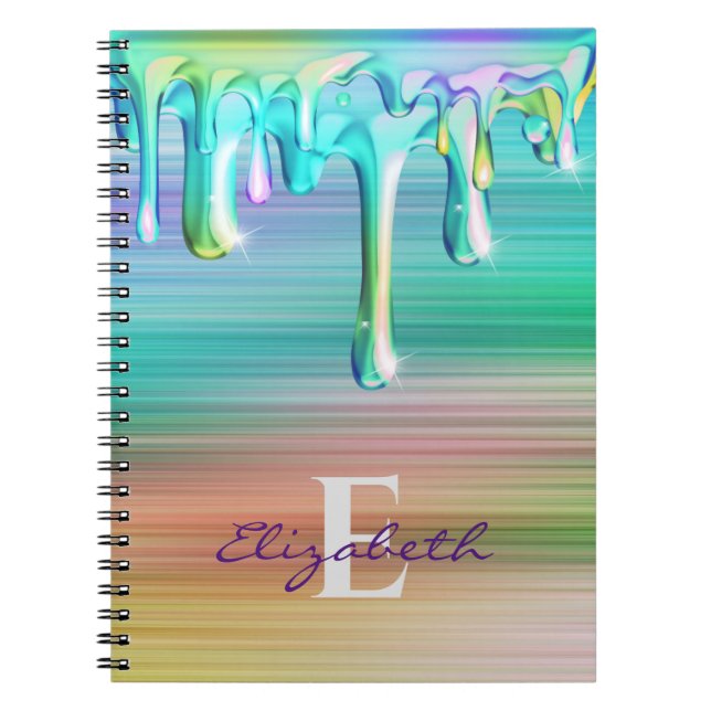 Carnet Lecteurs de crème glacée en métal brossé mure (Devant)