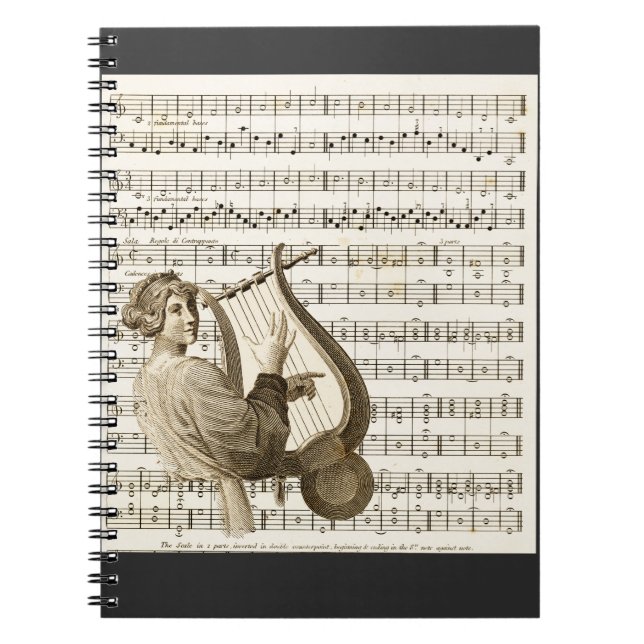 Carnet Lecture de musique Harp Vintage 304 (Devant)