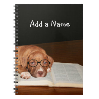 Carnet Lectures de chiot Pitbull