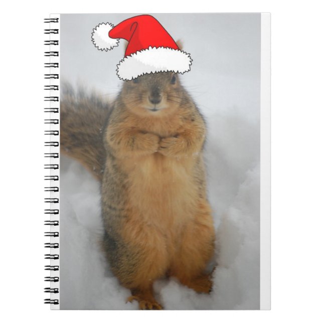 Carnet L'écureuil de Noël avec Père Noël (Devant)