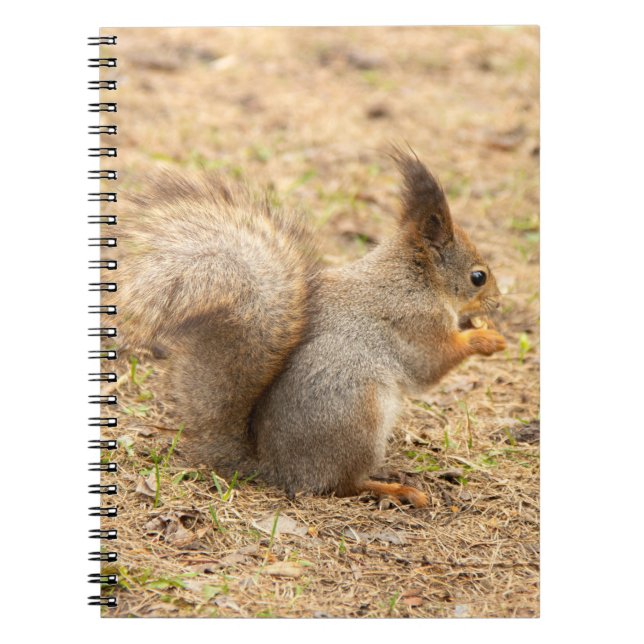 Carnet L'écureuil mignon mange une photo de noix (Devant)