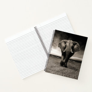 Carnet L'éléphant en fuite