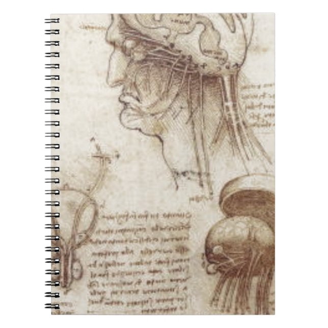 Carnet Leonardo da Vinci - physiologie de cerveau (Devant)