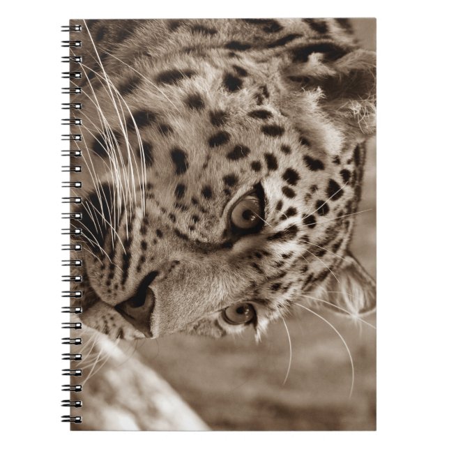 Carnet léopard, animal, safari (Devant)