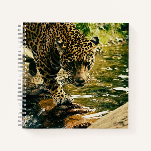 Carnet Leopard Crossing a Stream Photographie (Devant)