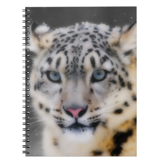 Carnet Léopard de neige (Devant)