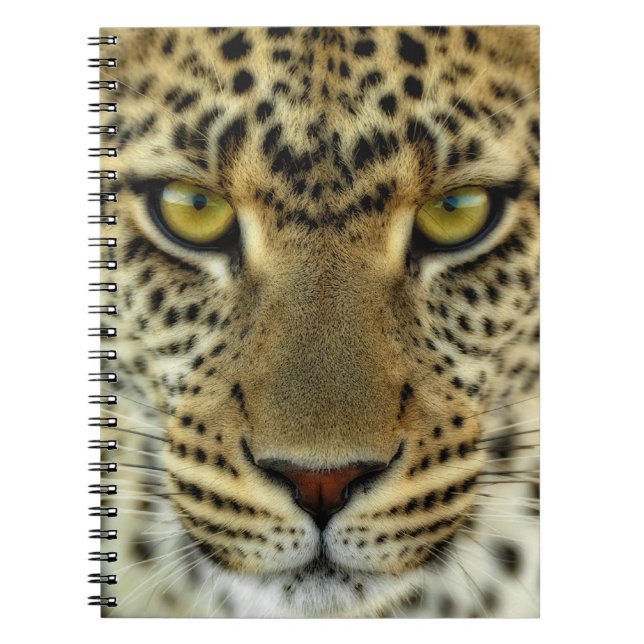 Carnet Léopard féroce (Devant)