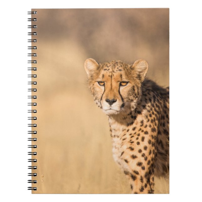 CARNET LEOPARD PORTRAIT (Devant)