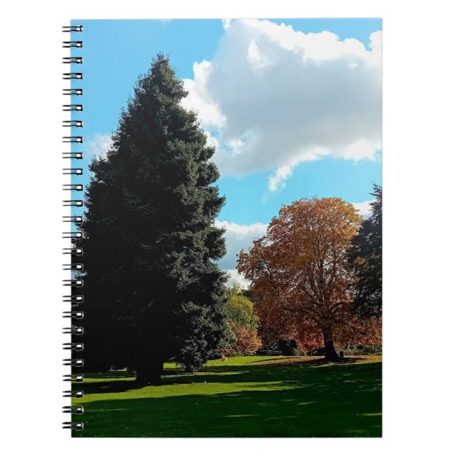 Carnet Les arbres d'automne (Devant)
