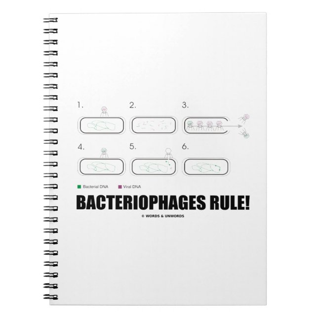 Carnet Les bactériophages sont la règle ! (ADN de virus b (Devant)