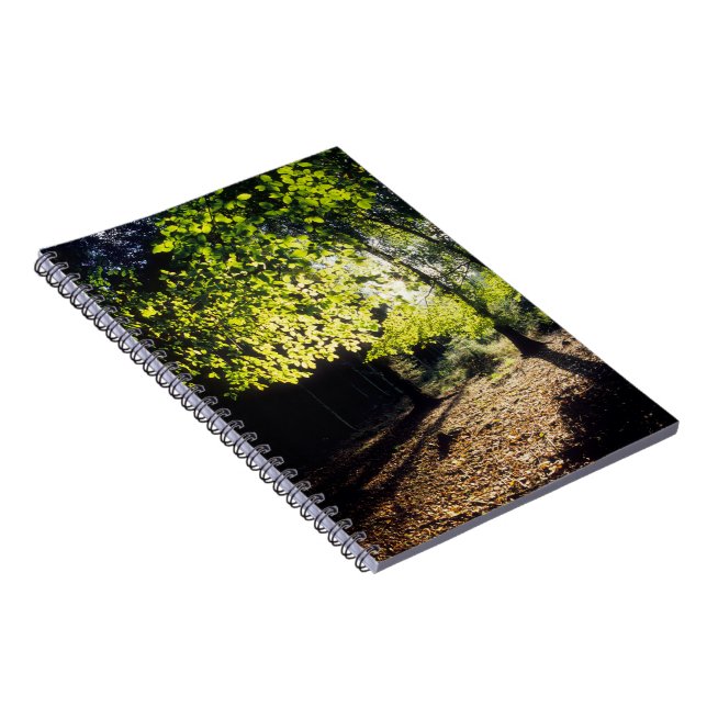 Carnet Les bois au printemps (Côté Droit)