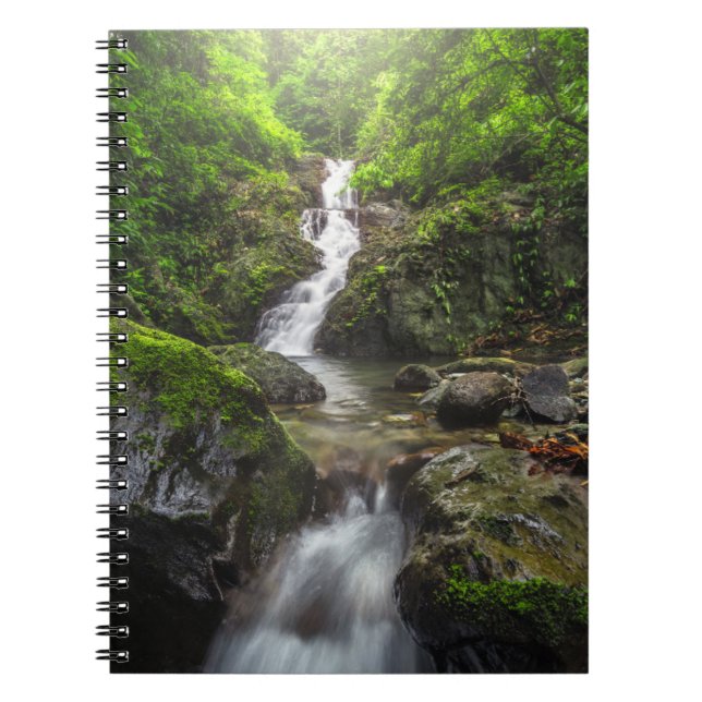 Carnet Les cascades | Parc national du Mont Phayao (Devant)