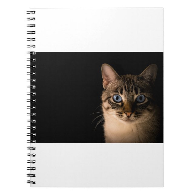 Carnet Les Chats Sont Les 20 Meilleurs (Devant)