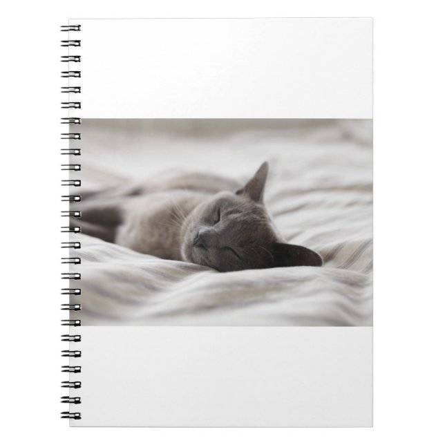 Carnet Les Chats Sont Les Meilleurs 66 (Devant)
