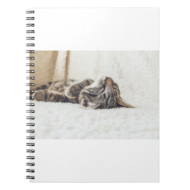 Carnet Les Chats Sont Les Meilleurs 88 (Devant)