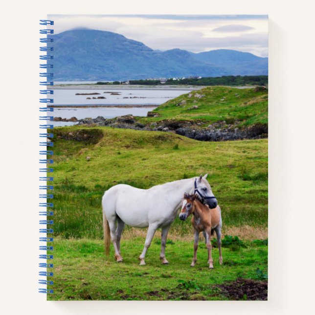 Carnet Les Chevaux du Connemara | Galway, Irlande (Devant)