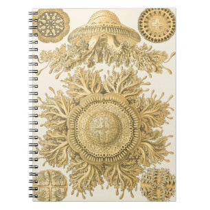 Carnet Les créatures de la mer d'or