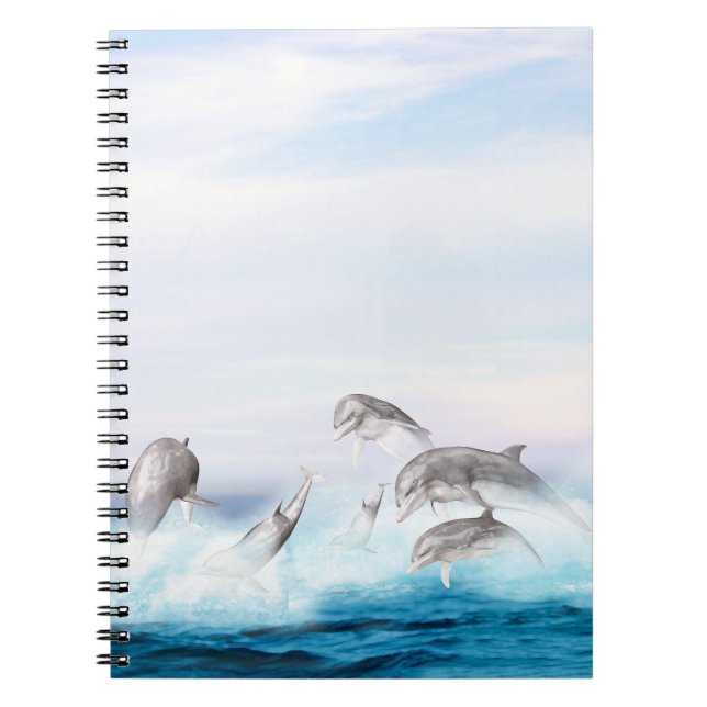 Carnet Les dauphins qui sautent (Devant)