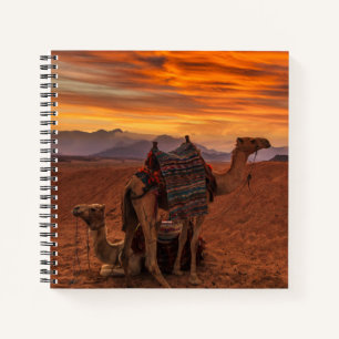 Carnet Les déserts Bactrial Camel Egypte dune de sable