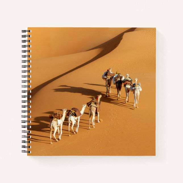 Carnet Les déserts | Marche touareg avec chameaux (Devant)
