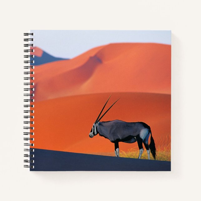 Carnet Les déserts | Namib Desert Oryx (Devant)