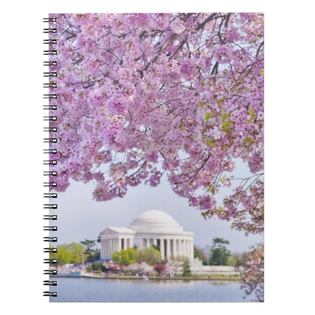 Carnet Les Etats-Unis, Washington DC, cerisier en fleur (Devant)