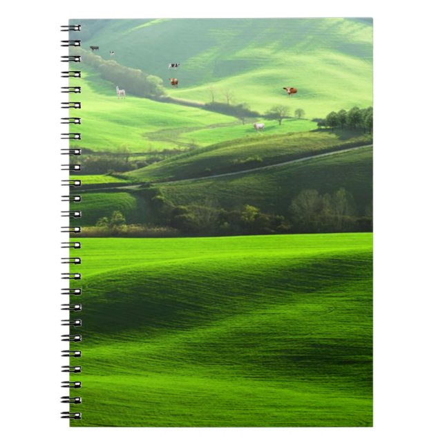 Carnet Les fermes dans le vallon (Devant)