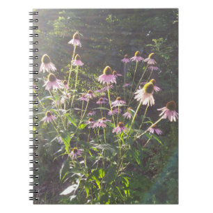 Carnet Les fleurs d'échinacée au soleil