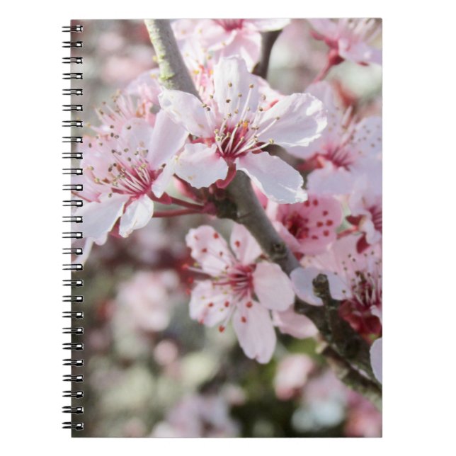 Carnet Les Fleurs Roses Fleurs Rouges. (Devant)