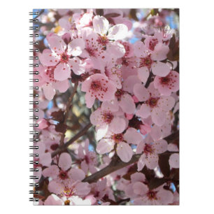 Carnet Les fleurs roses sur l'arbre à fleurs ornemental