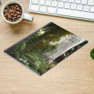 Carnet Les fougères et la mousse Arbre couvert Nature Pho