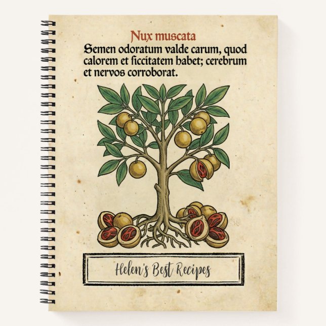 Carnet Les Guerres des Épices Noix de Muscade : Recette B (Devant)