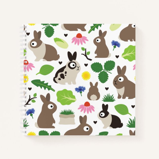 Carnet Les lapins Et Leurs Traitements (Devant)