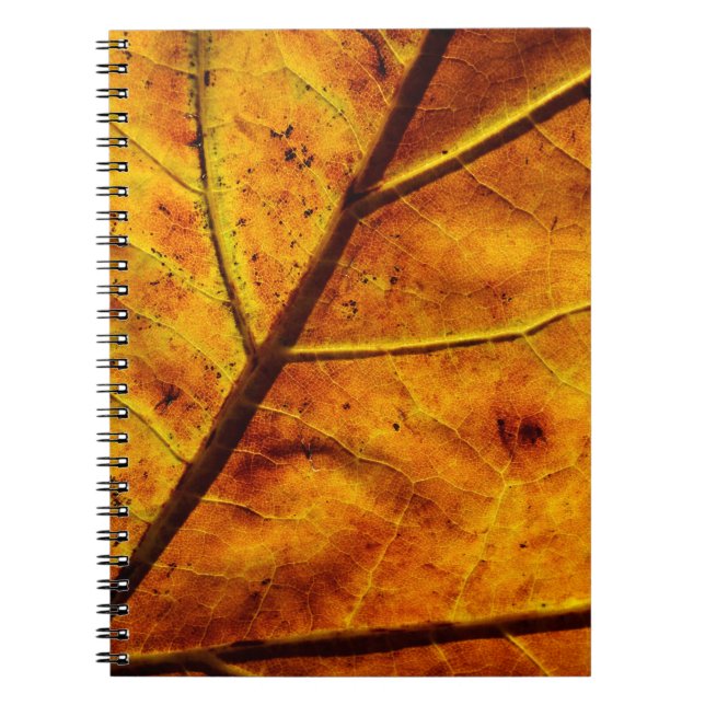 Carnet Les nervures foliaires tombent de texture (Devant)