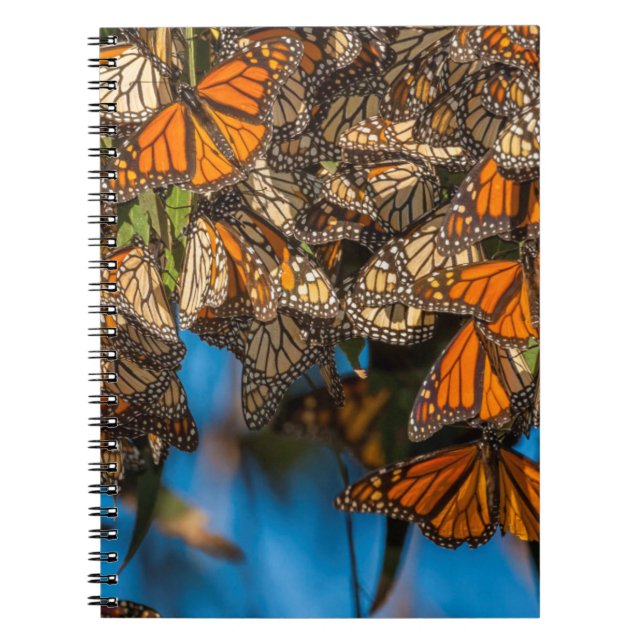 Carnet Les papillons monarques migrateurs s'accrochent au (Devant)