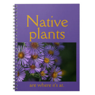 Carnet Les plantes indigènes sont où il faut être