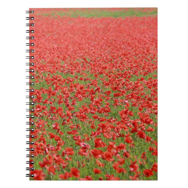 Carnet Les Poppies ! (Devant)