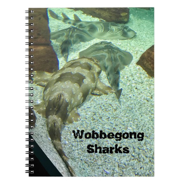 Carnet Les requins Wobbegong (Devant)