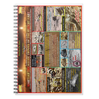 Carnet Les trésors martiens