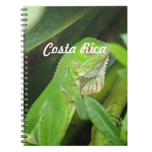 Carnet Lézard de Rican de côte