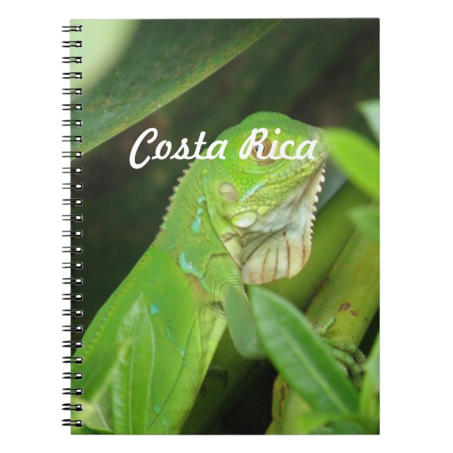 Carnet Lézard de Rican de côte (Devant)
