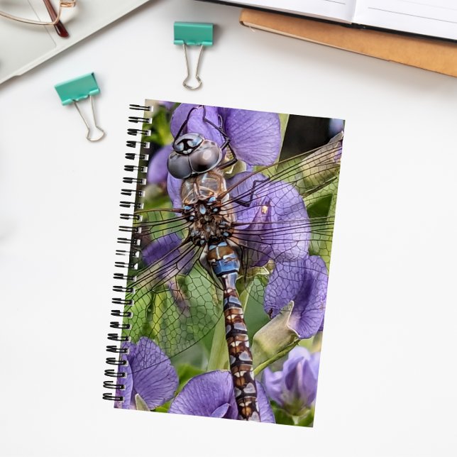 Carnet Libellule Aeshne à yeux bleus sur fleur (In Situ)