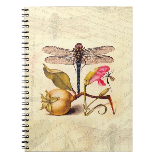 Carnet Libellule Botanique Nature Faune Hoefnagel Art (Devant)